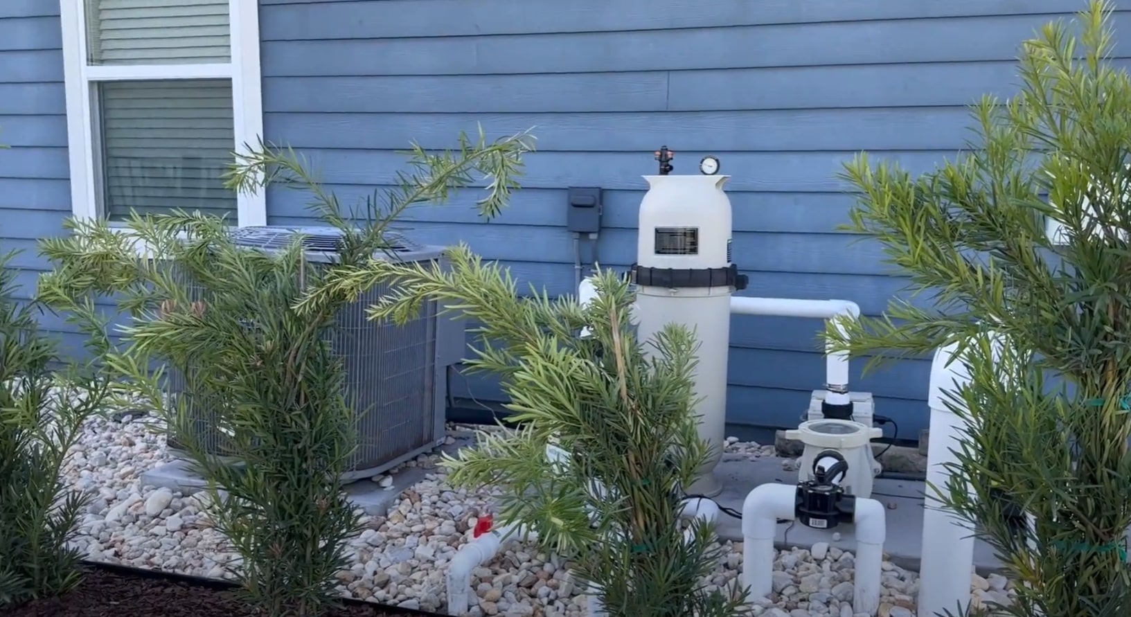 Functional landscape design screening pool equipment with tropical plantings and decorative stone mulch Pool equipment area landscaping with tropical palm plants and decorative river rock mulch creating attractive utility screening