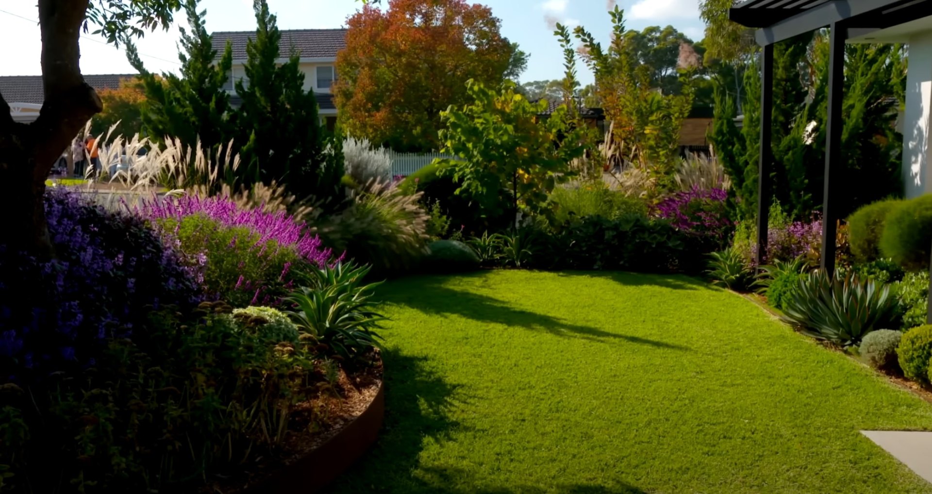 Colorful perennial garden design with seasonal interest and low-maintenance native plantings Vibrant residential garden featuring purple flowering plants, ornamental grasses, and lush green lawn with mature tree canopy