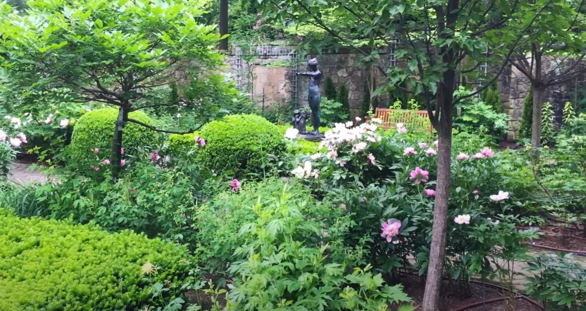 Shade garden design with water features, flowering understory plantings, and natural stone hardscaping Shaded garden sanctuary with flowering shrubs, decorative water feature, and natural stone retaining walls under mature tree canopy